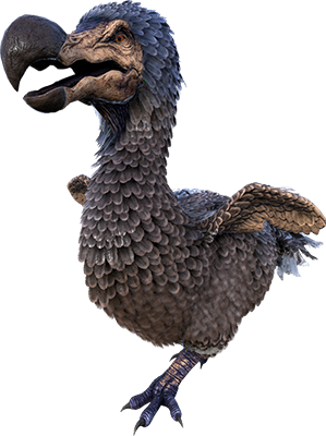 Dodo