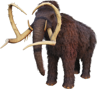 Mammouth