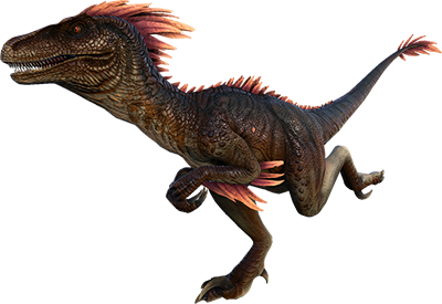 Raptor