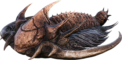 Trilobite
